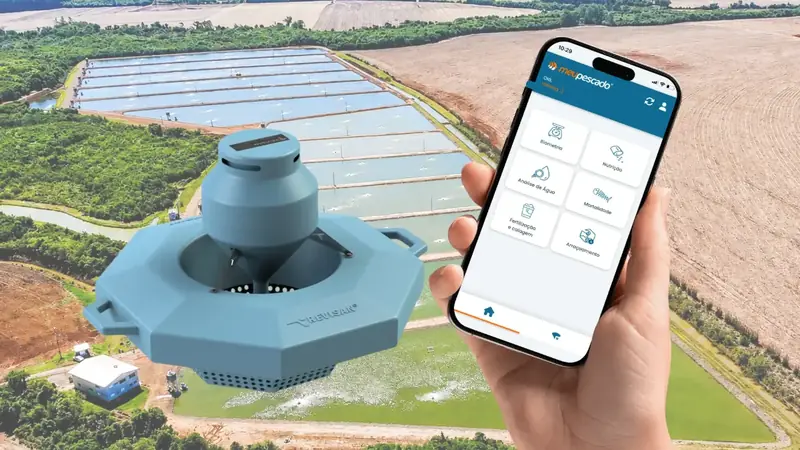 1 milhão de peixes com 1 funcionário: o que a automação já permite na aquicultura