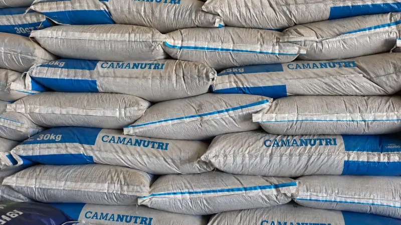 Armazenamento de ração na carcinicultura: cuidados que evitam prejuízo na fazenda