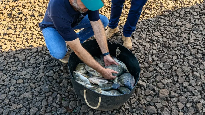 De 23g a 1 Kg em 172 Dias: E o Segredo Está na Genética