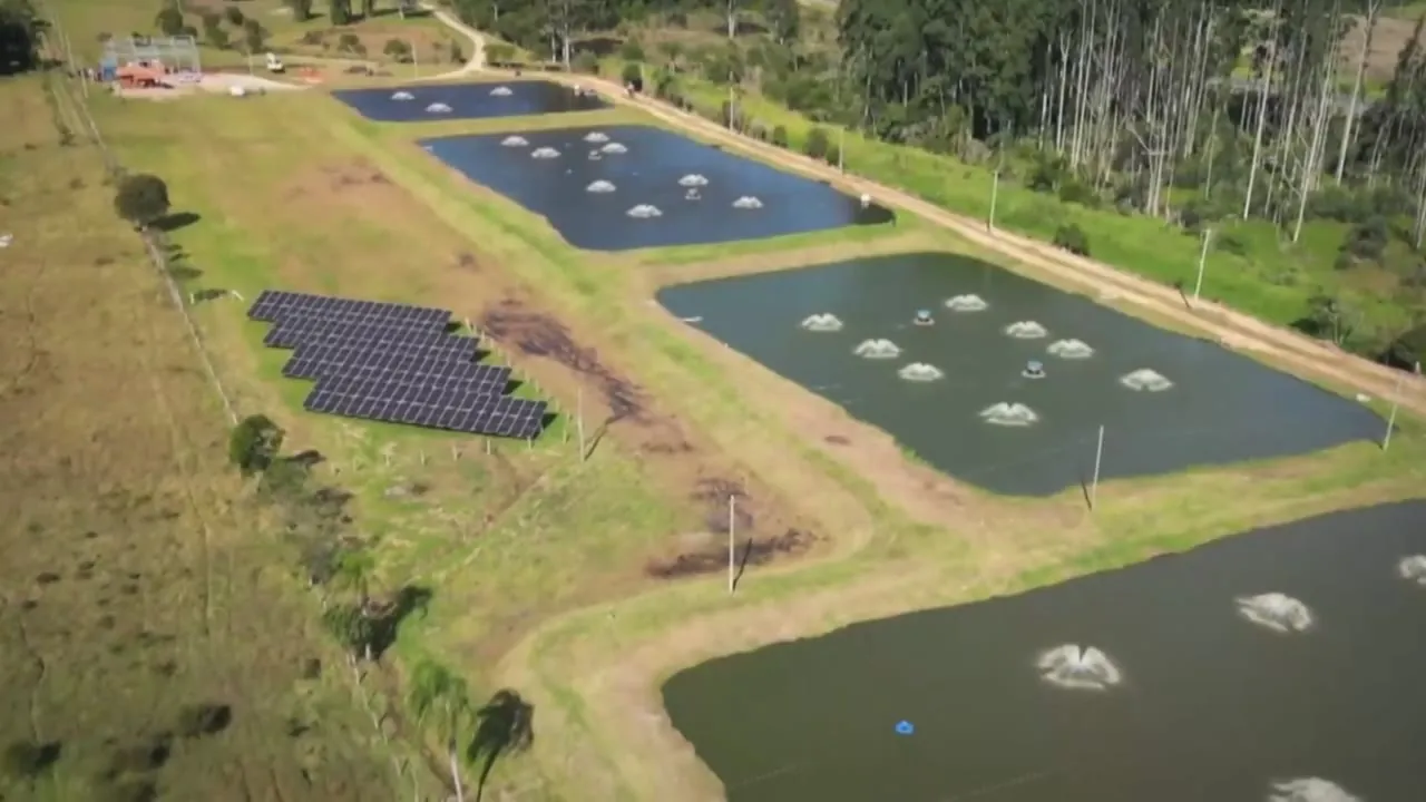 Meu Pescado no Globo Rural: tecnologia para uma aquicultura mais eficiente